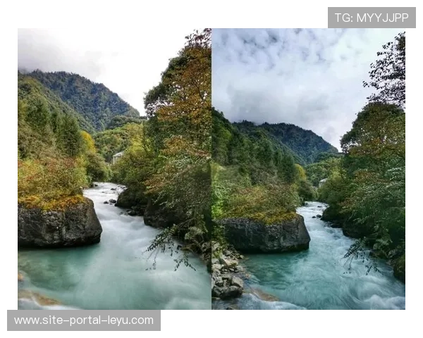 HDR调色工具集成自适应映射,确保多终端显示一致性。 HDR调色工具集成自适应映射,确保多终端显示一致性。
