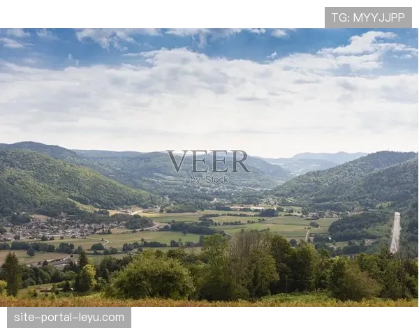 法国职业足球联盟与球员公会就未来肖像权集体使用协议展开新一轮谈判